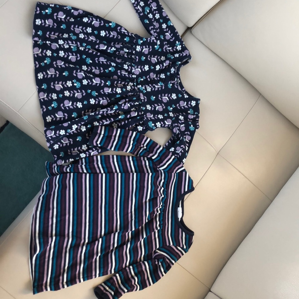 Lot of 2 Hanna Andersson 90 play dresses
